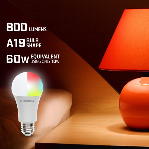 Light Bulbs