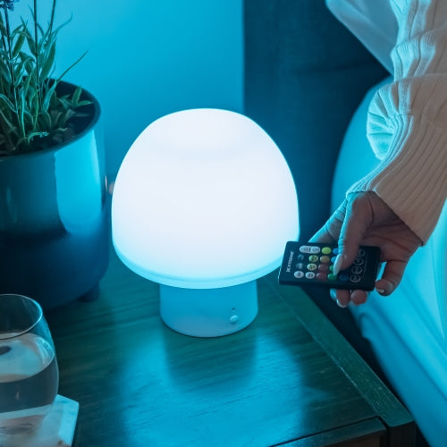 New Multi-Color Multi-White LED Accent Mushroom Lamp with White Base, Remote Control